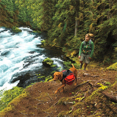 Dog Heaven™ Backpack Harness 2-in-1